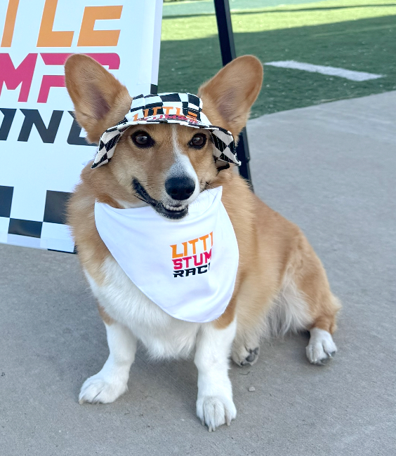 Little Stumps Racing Dog Bandana